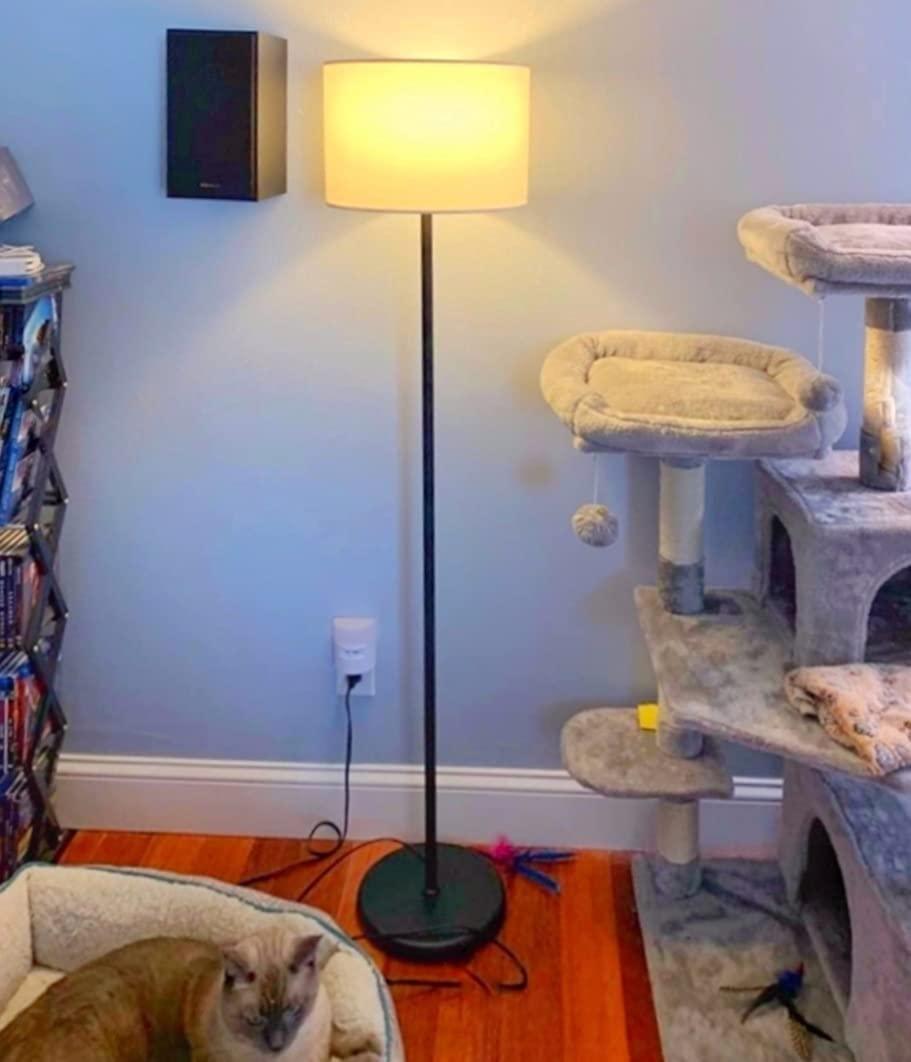 Iron Floor LAMP for Living Room Corner - Ouch Cart