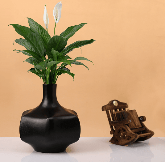 Verdant Metal Black Vase - Ouch Cart