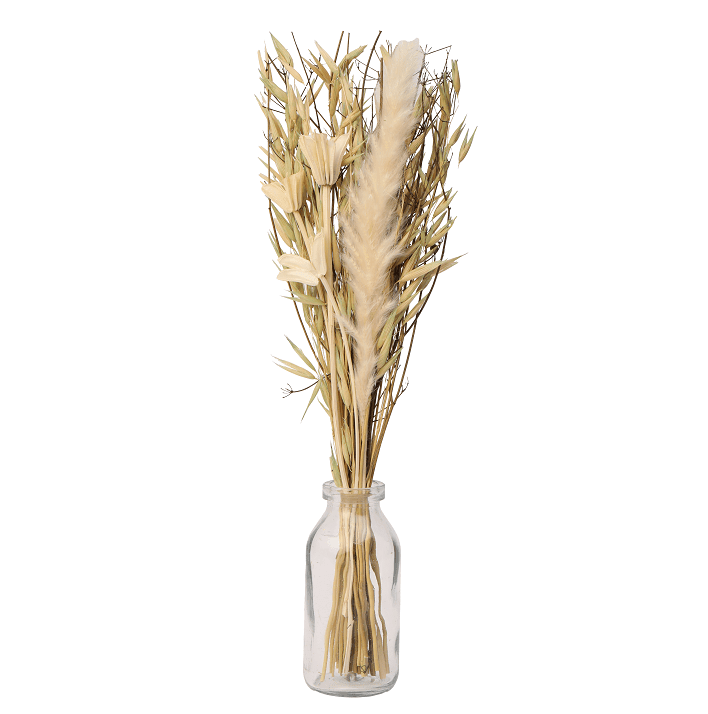 Liliana Dried Floral Bunny Tail (small) - Ouch Cart