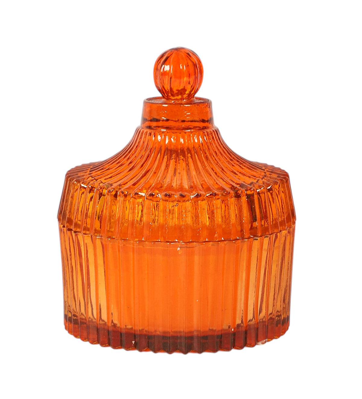 Elara Amber Ember M.M.I. OVERSEAS