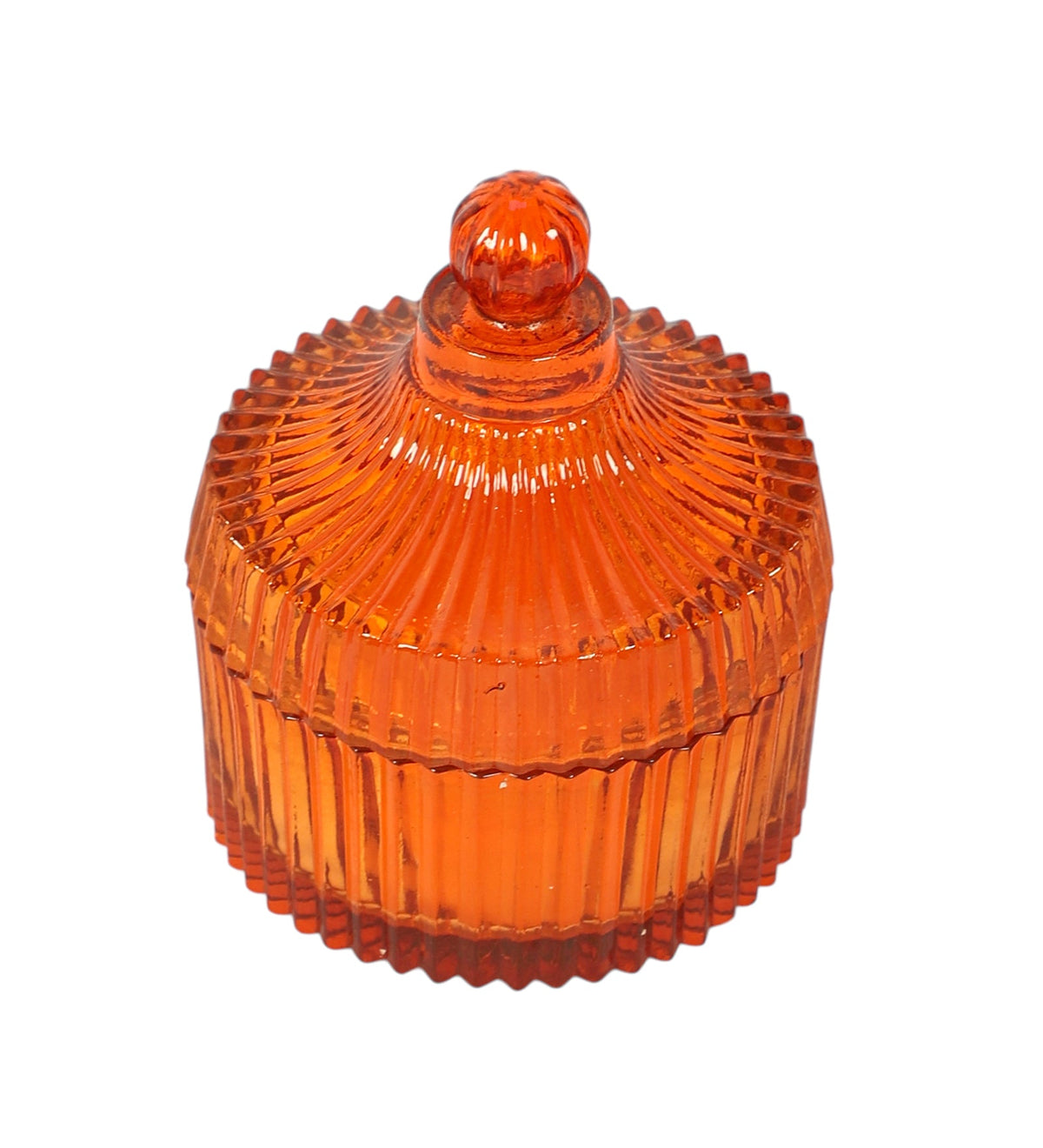 Elara Amber Ember M.M.I. OVERSEAS