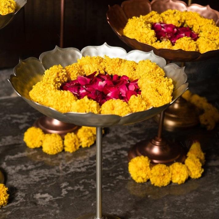 Taaj urli Sat of 1 - Ouch Cart