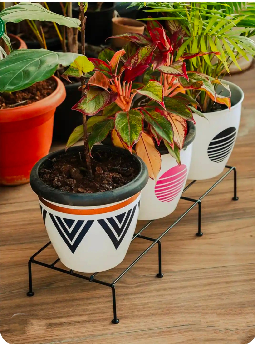 Elated Metal Plant Stand (Set Of 4) Black Rust Proof Pot National Handicraft Town