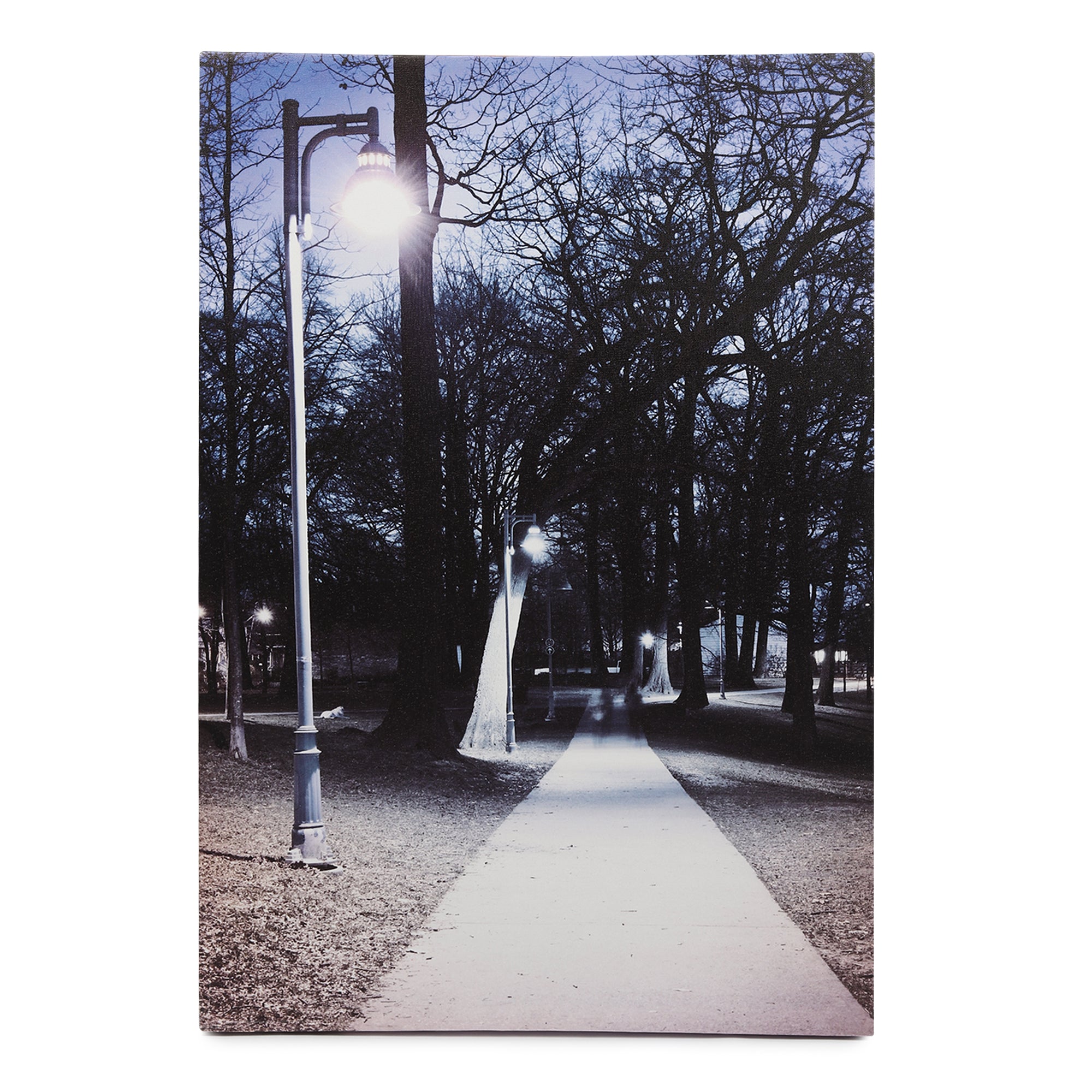 Path of Destiny – LED Illuminated Wall Art - OUCHCART