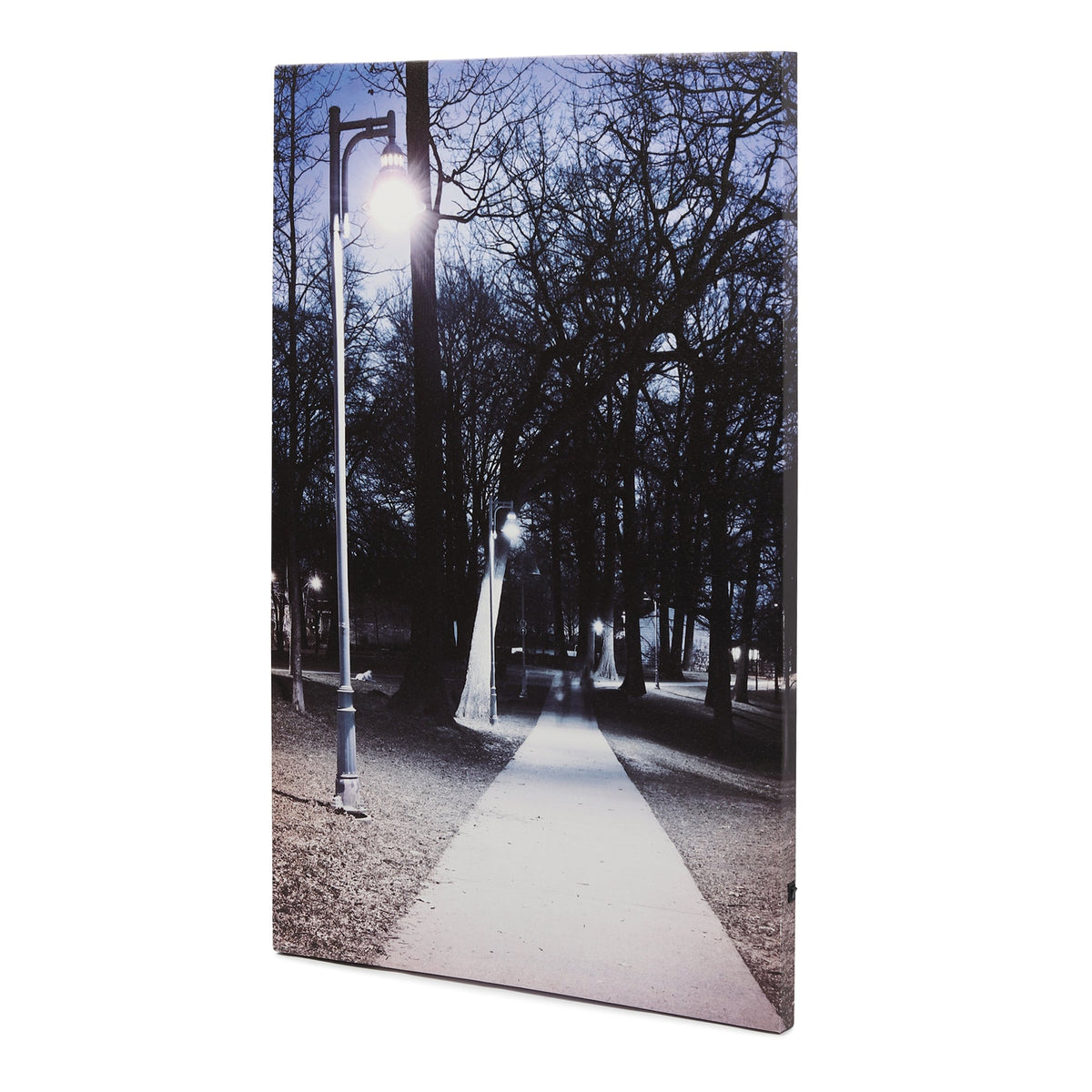 Northern Dreams LED Illuminated Wall Art - Wall art M.M.I. OVERSEAS