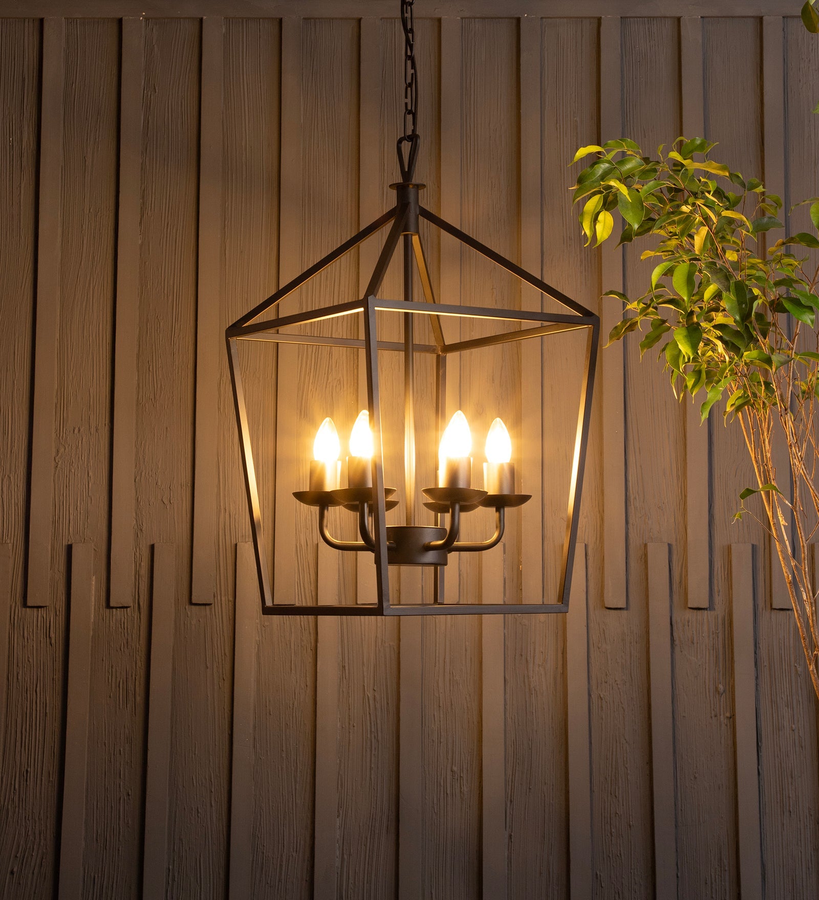 Velsa 6Lt Chandelier By Shoppeefry Shoppeefry