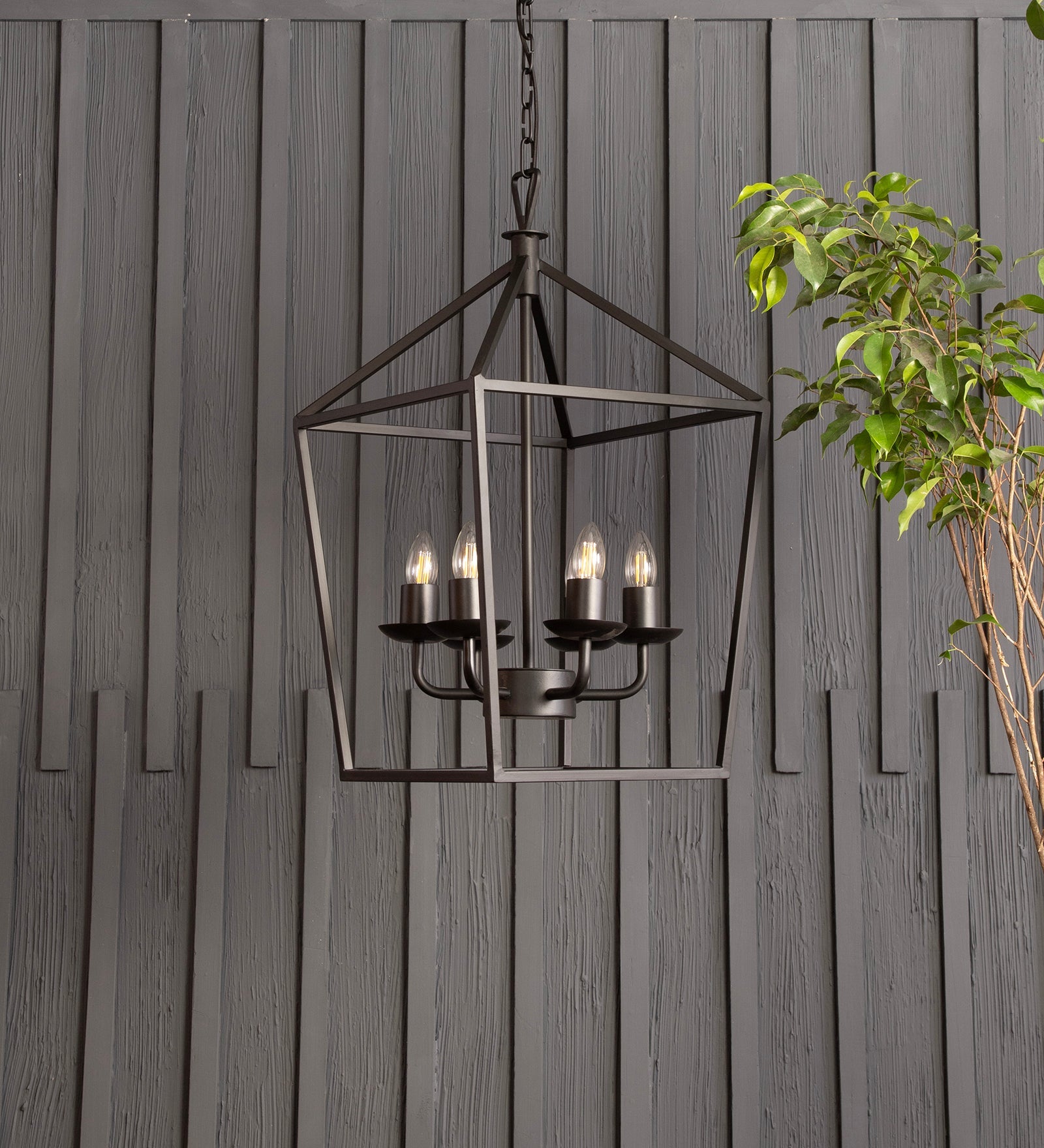 Velsa 6Lt Chandelier By Shoppeefry Shoppeefry