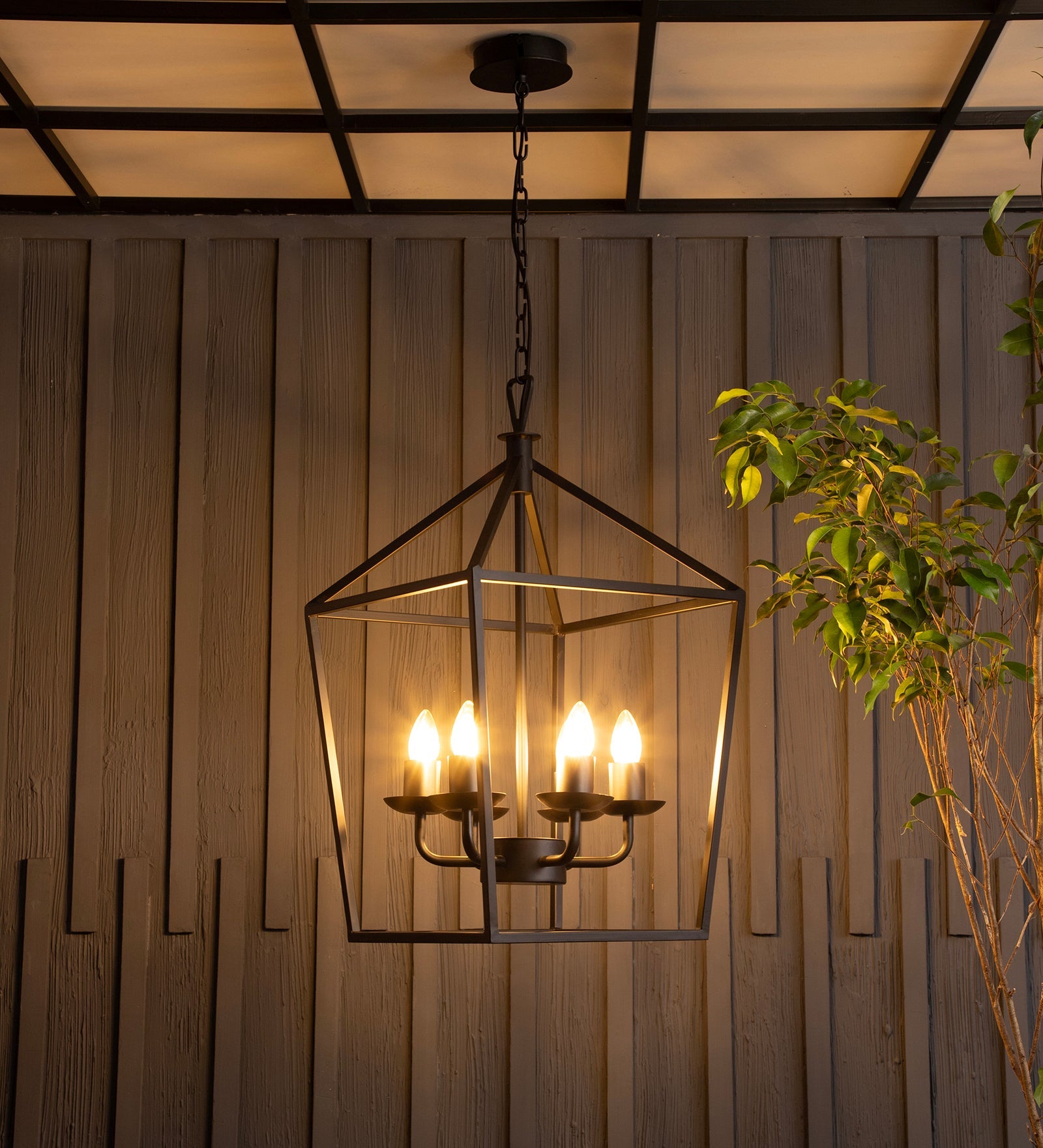 Velsa 6Lt Chandelier By Shoppeefry Shoppeefry