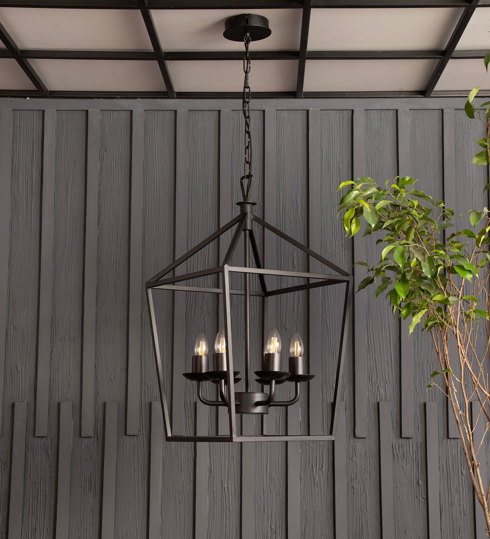 Velsa 6Lt Chandelier By Shoppeefry Shoppeefry
