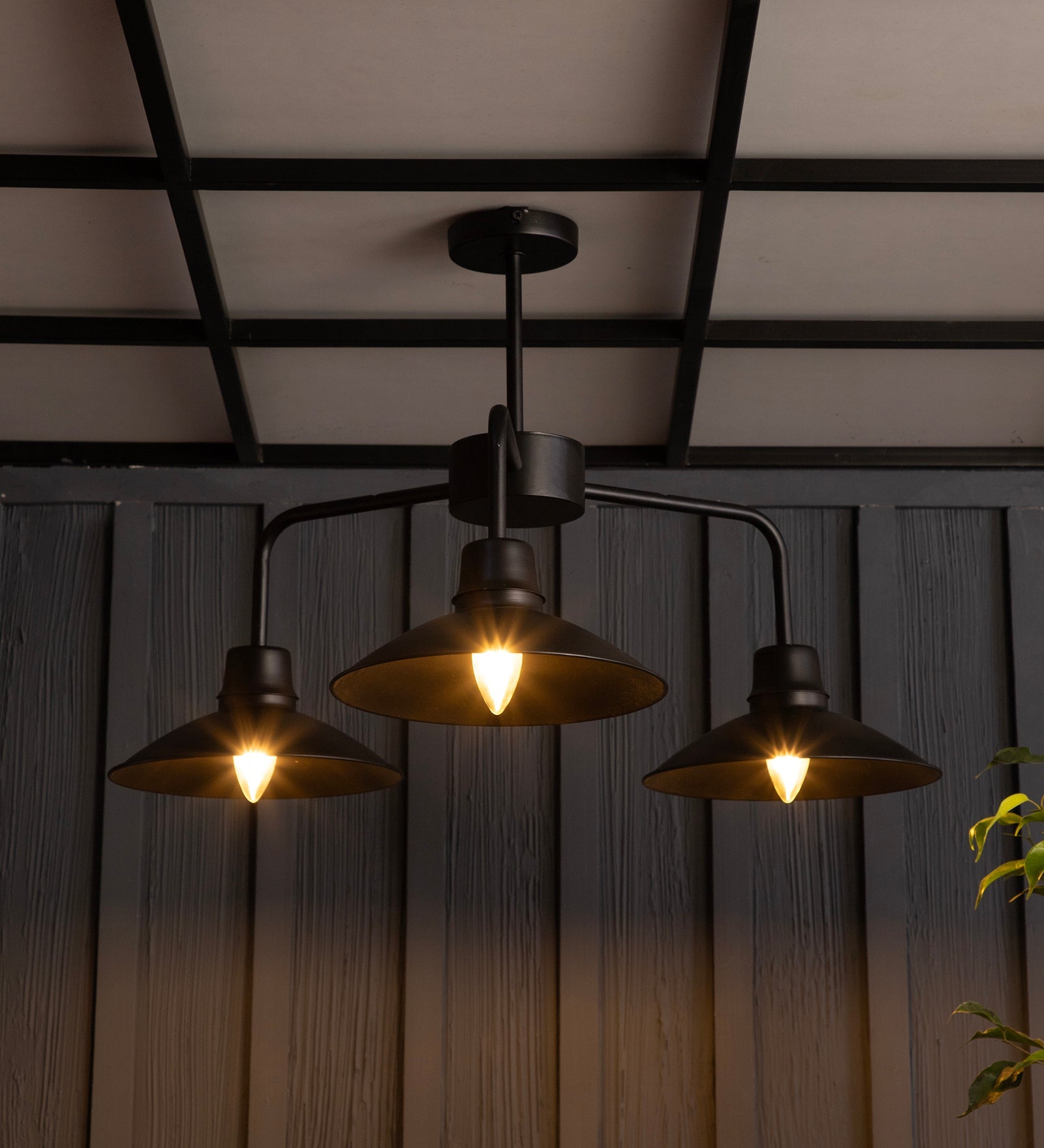 The Edward Chandelier By Shoppeefry Shoppeefry