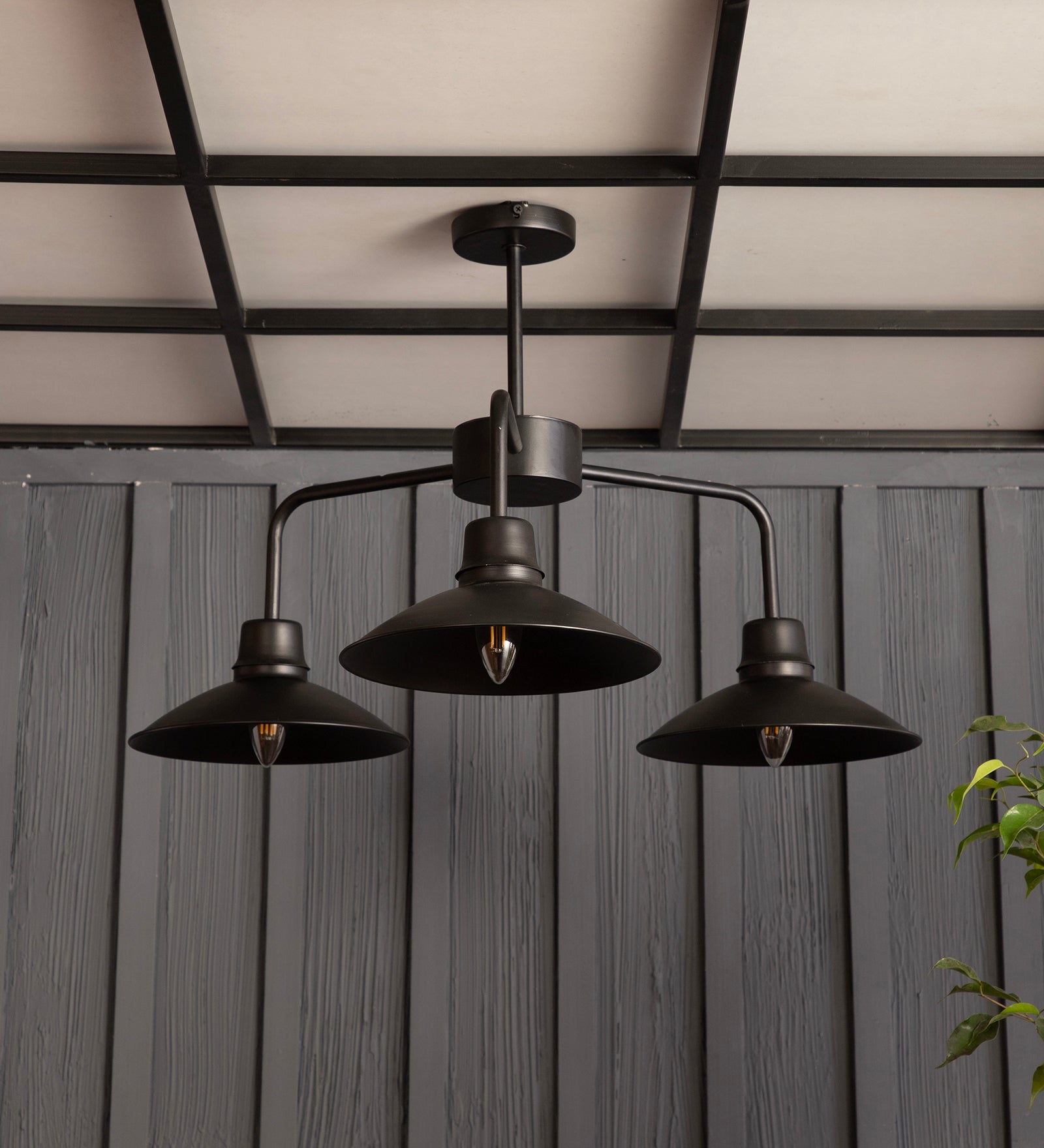 The Edward Chandelier By Shoppeefry Shoppeefry