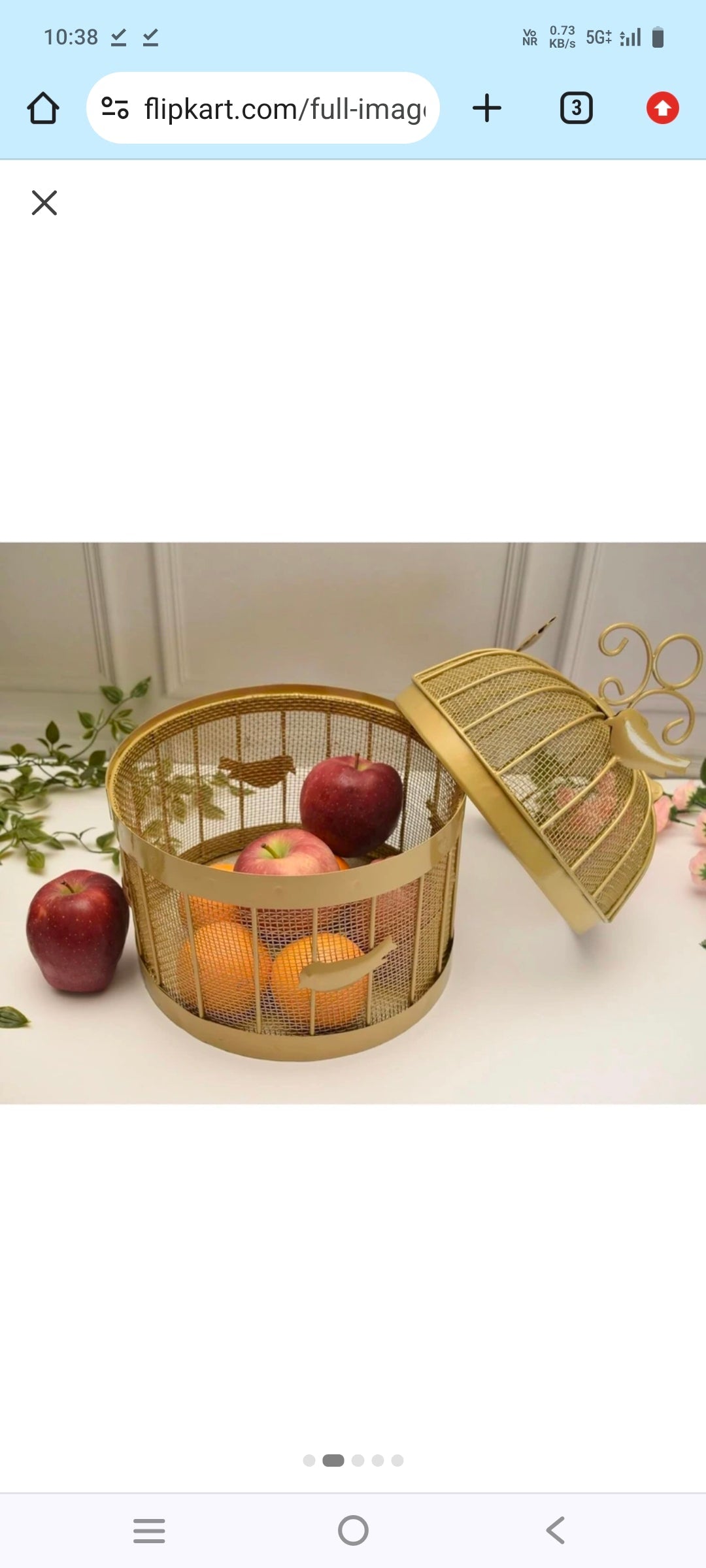 Luxury Metal Fruit Basket (Golden) | Fruit Basket Hotel Restaurant Kitchen. National Handicraft Town
