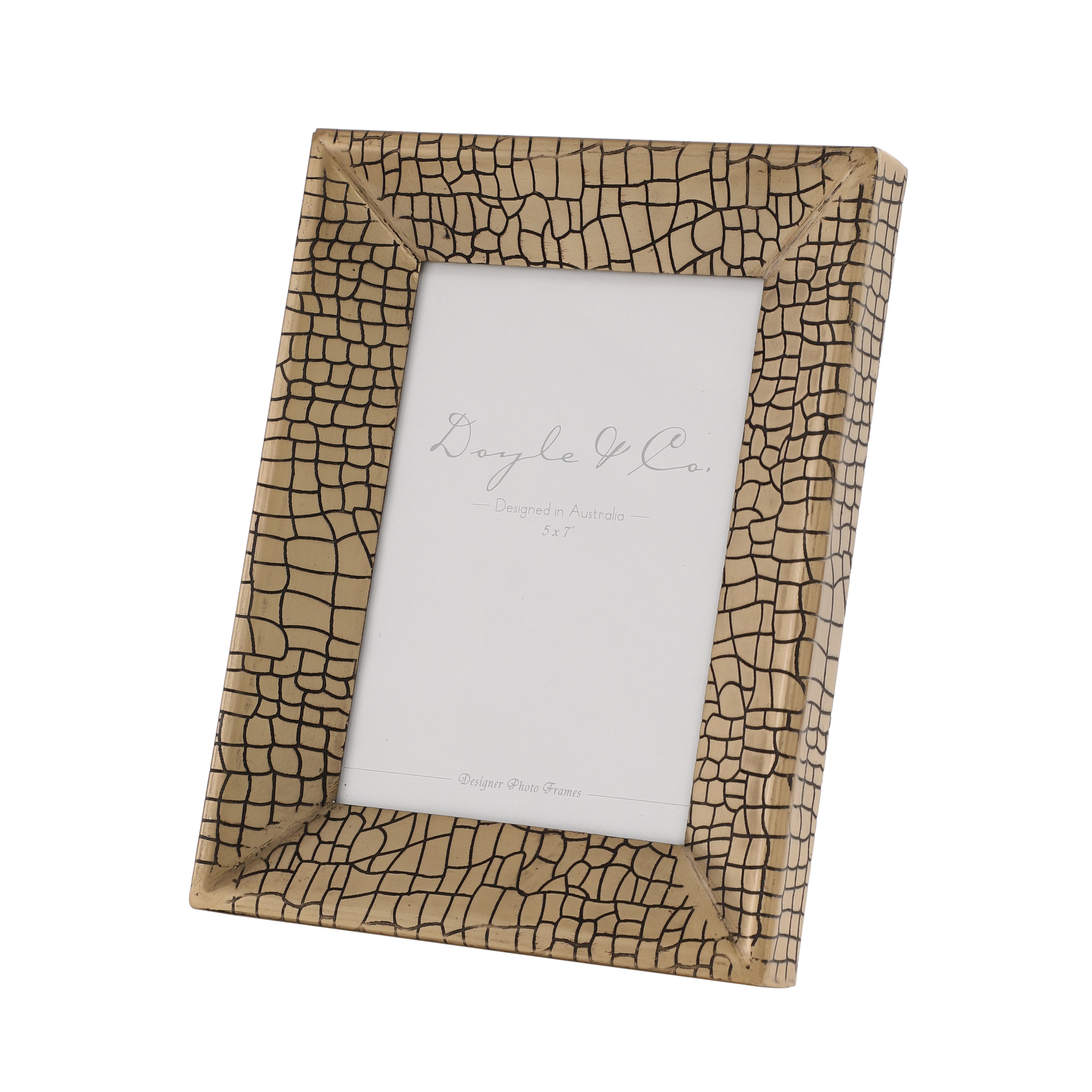 Aria Croc Frame M.M.I. OVERSEAS