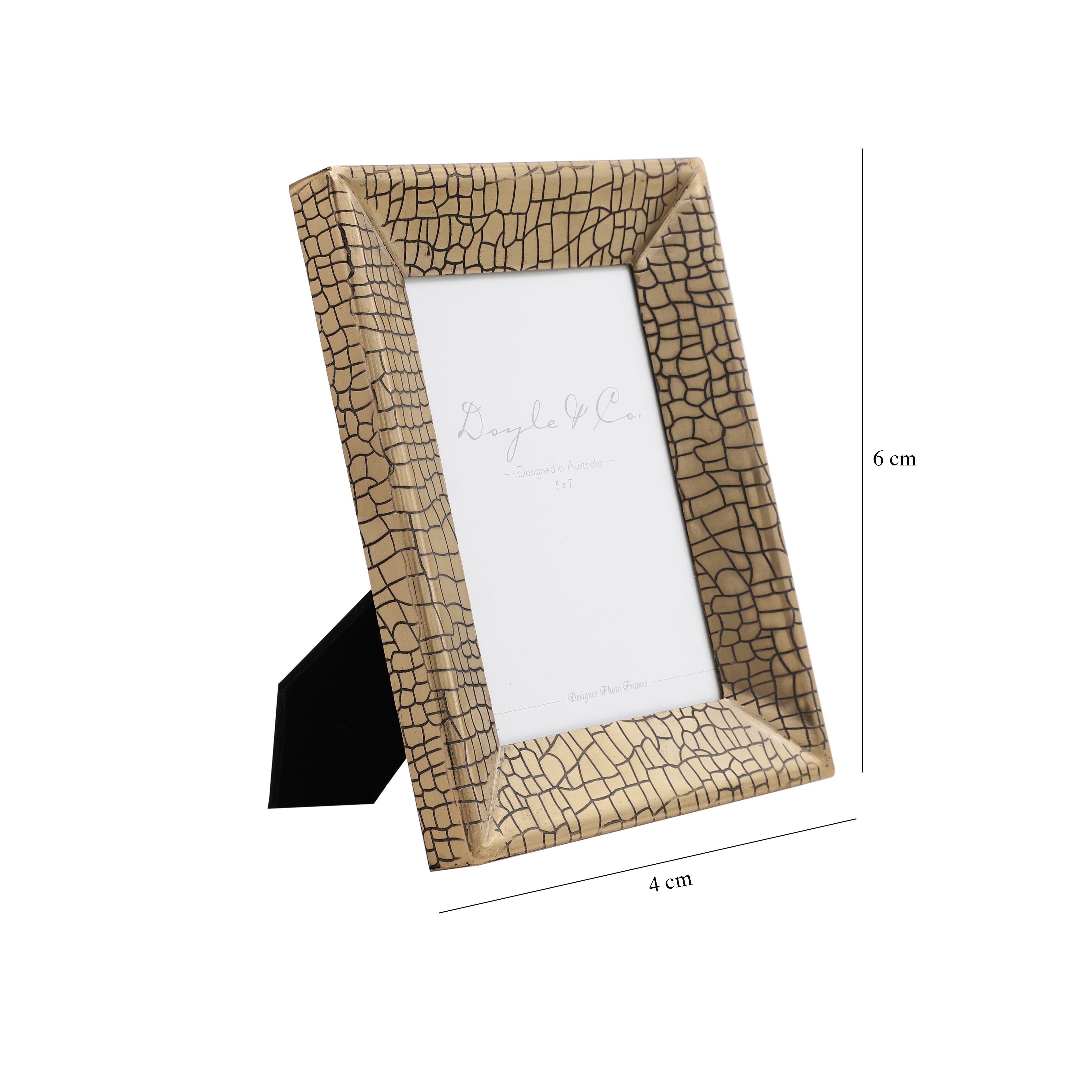 Aria Croc Frame M.M.I. OVERSEAS