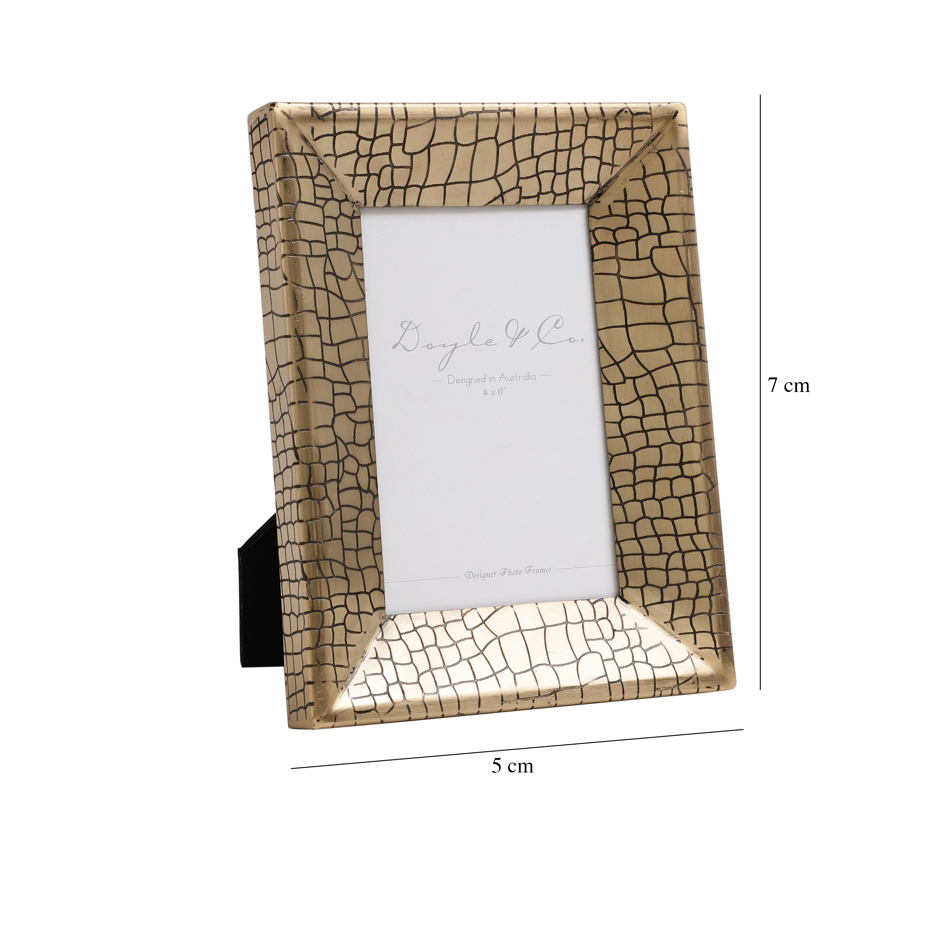 Aria Croc Large Frame