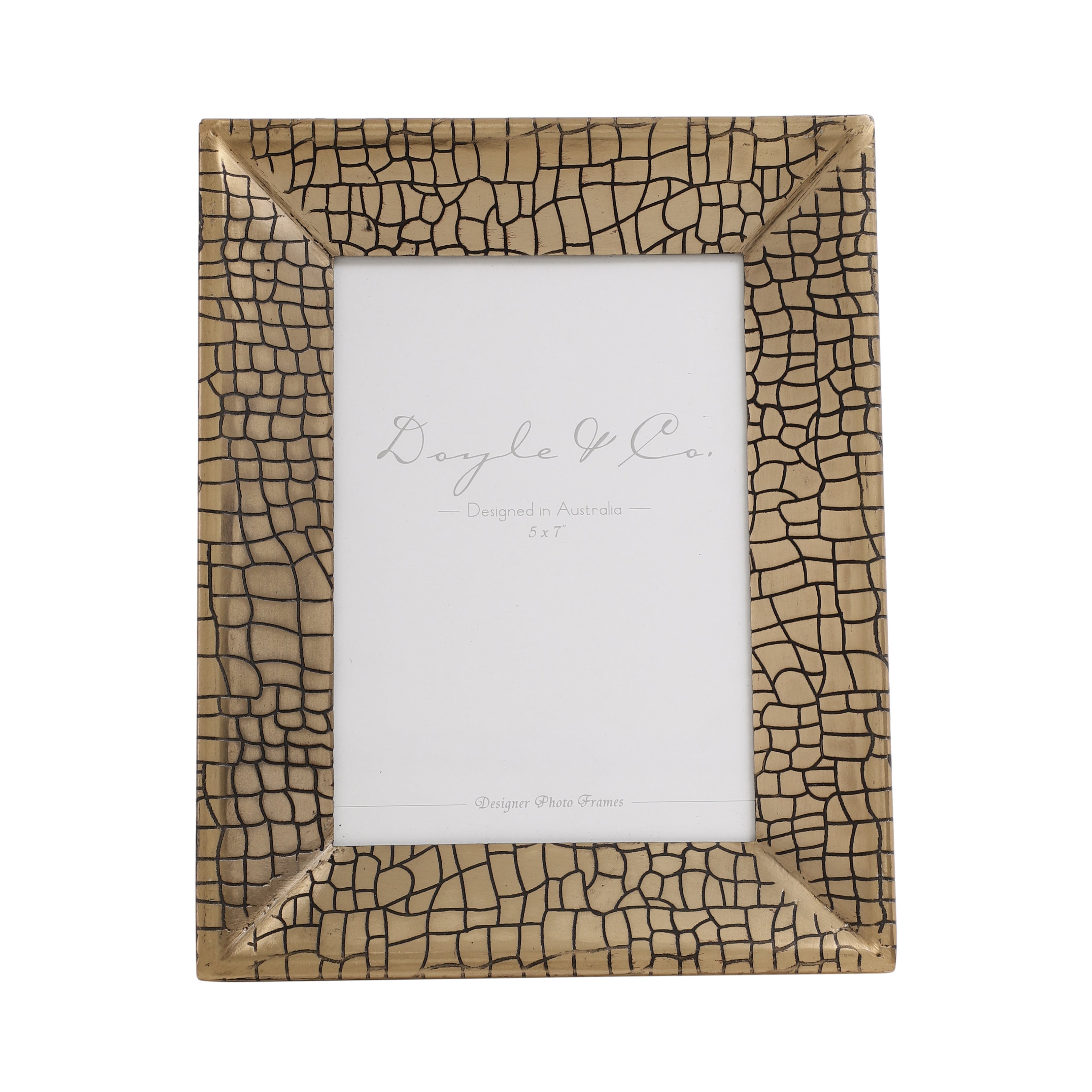 Aria Croc Frame - OUCHCART -FPHOTO FRAME