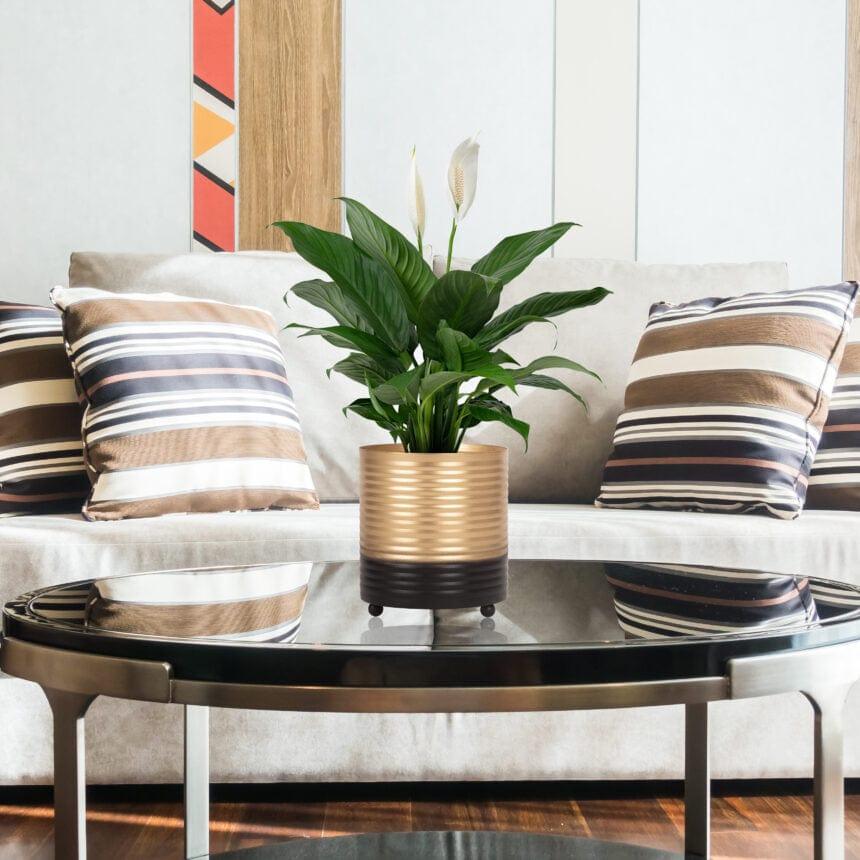 Single Desk Planter -Gold - Ouch Cart