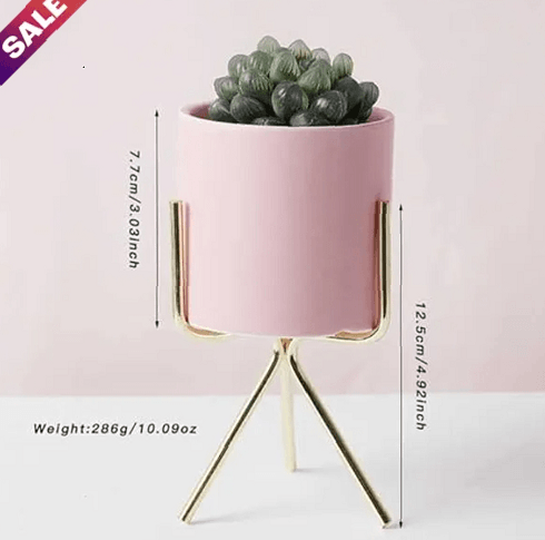 Pink Planter - Ouch Cart