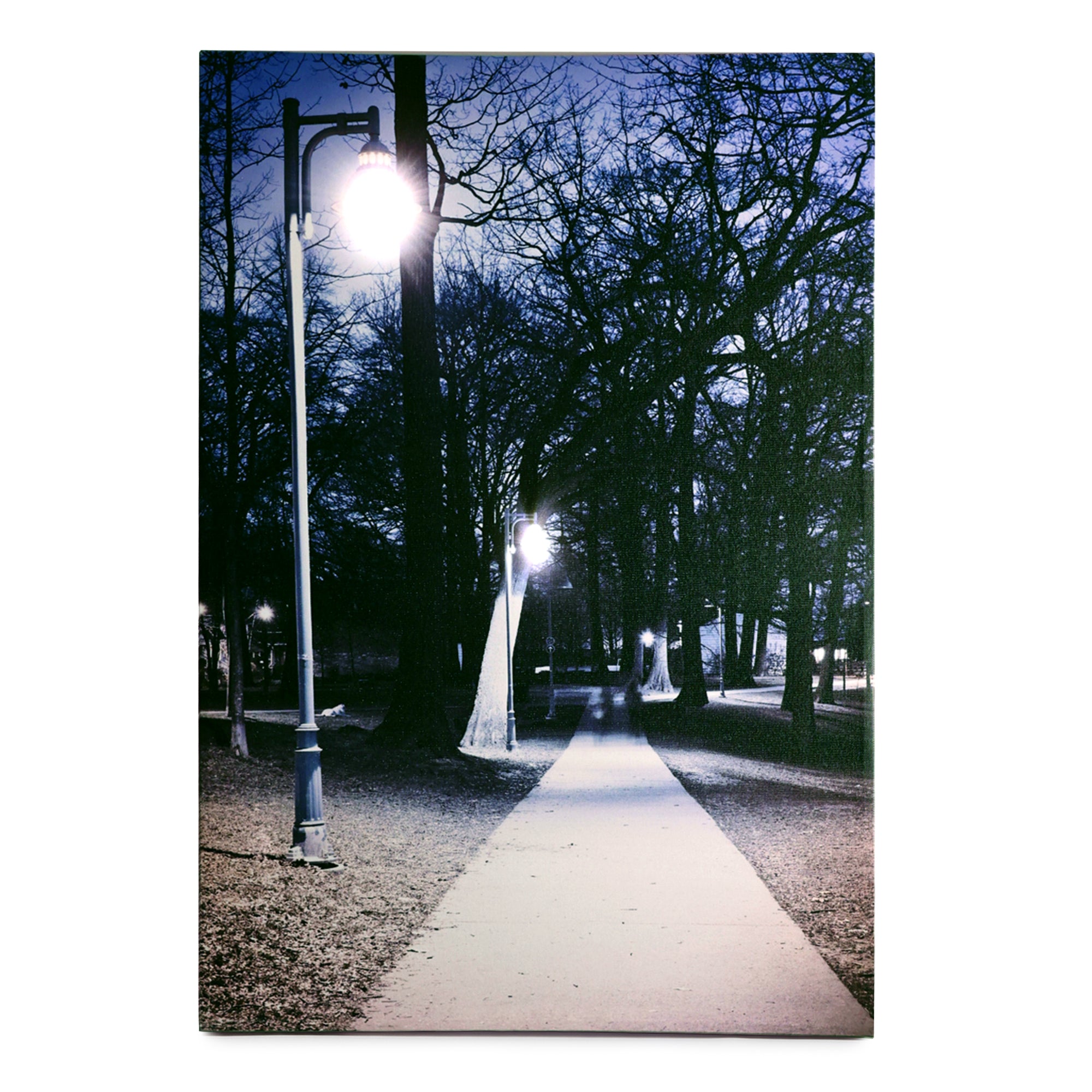 Path of Destiny – LED Illuminated Wall Art - OUCHCART