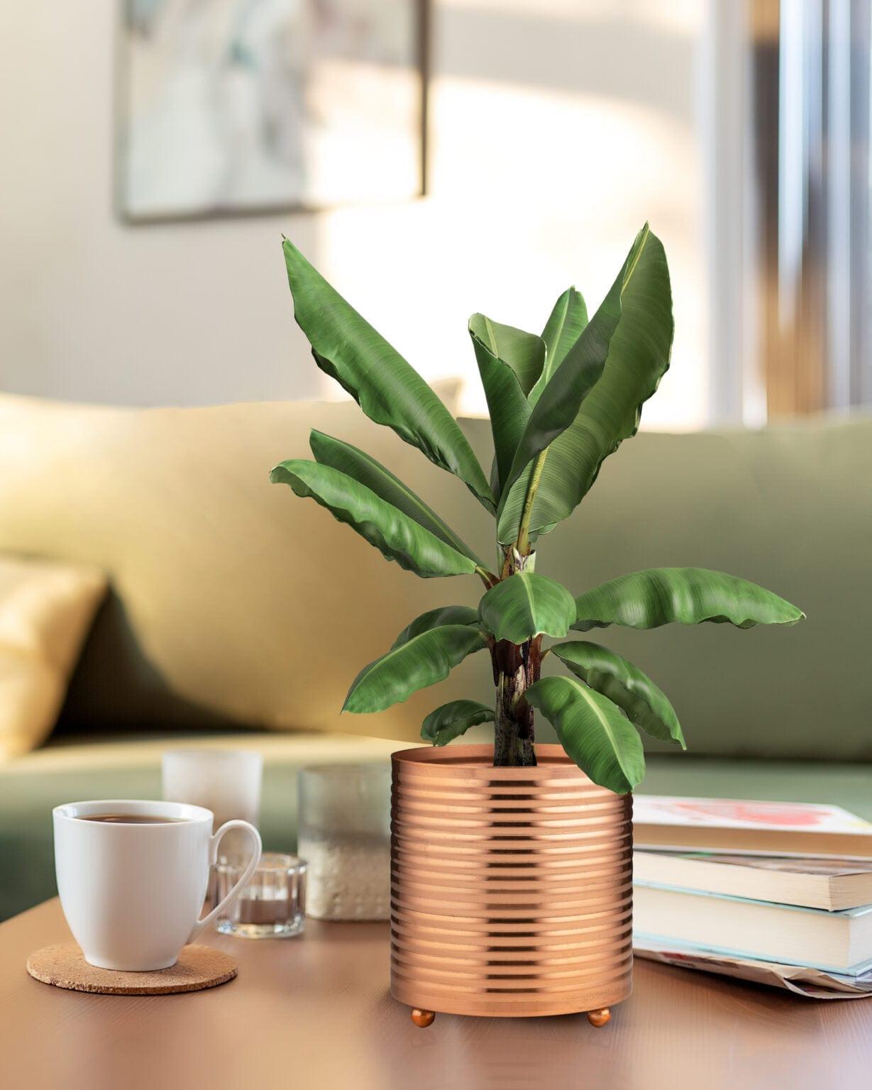 Oral Pot Golden Decor Planters - Ouch Cart