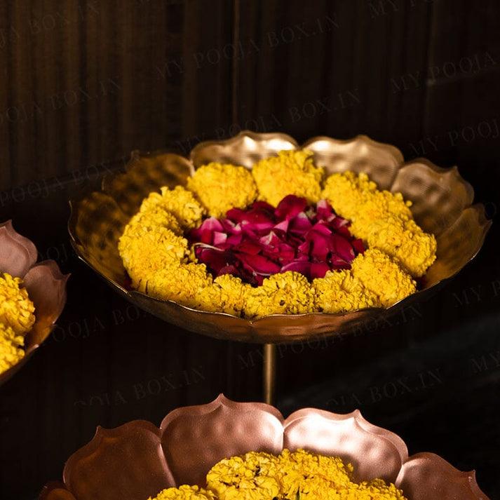 Taaj urli Sat of 3 - Ouch Cart