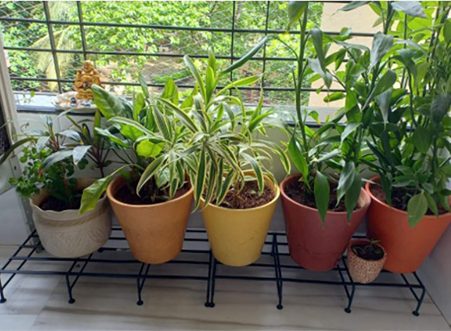 Iron Indoor/Outdoor Flower Pot/Plant Stand/Gamla Stand Heavy Duty Iron Used for Home Garden Balcony Living Room Decor (Black-Set of 4) - Ouch Cart