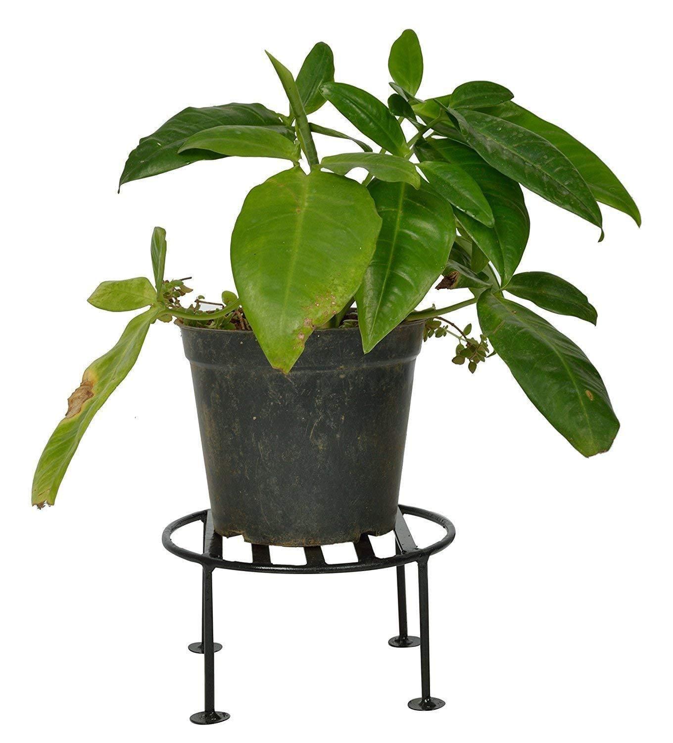 Rust Free Plant Stand for Indoor/Outdoor,Flower Pot/Plant Stand for Home Garden Balcony Living Room Decor, Flower Pot Stand, Gamla Stand (Pack of 4) - Ouch Cart