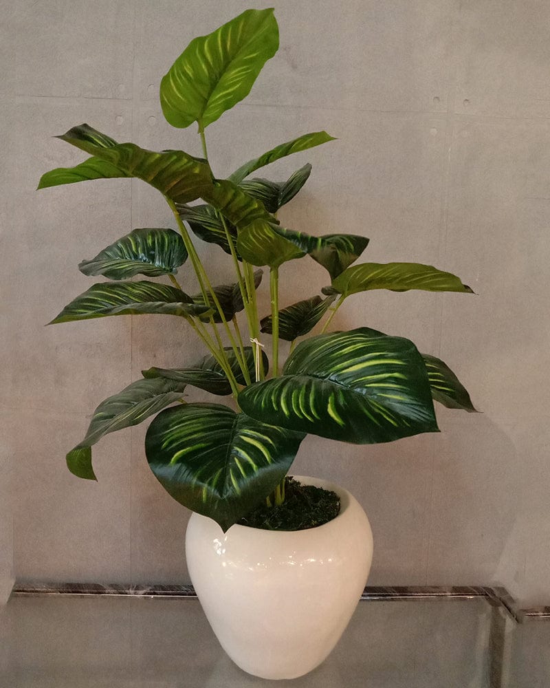 White Pot with Green Plant Planter