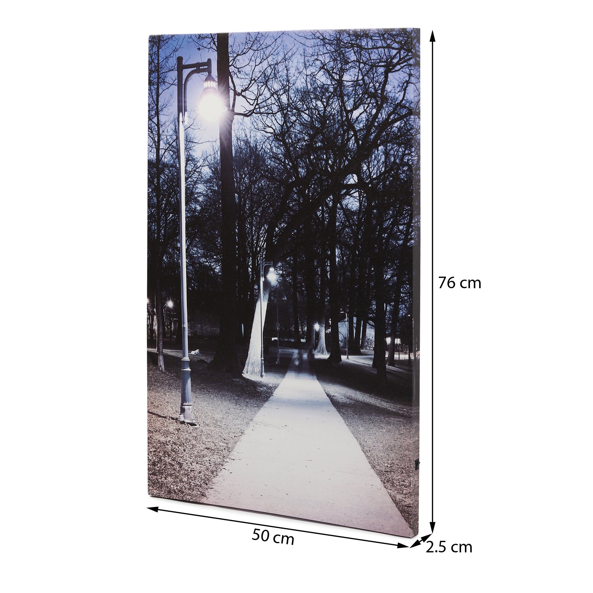 Northern Dreams LED Illuminated Wall Art - Wall art
