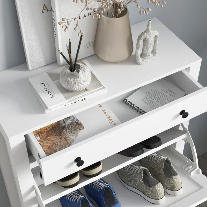 Shoe Storage Cabinet