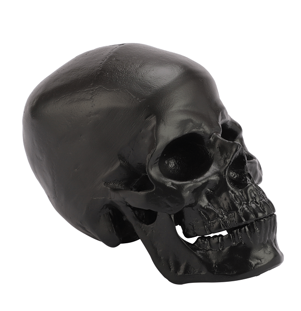 Black  Skull