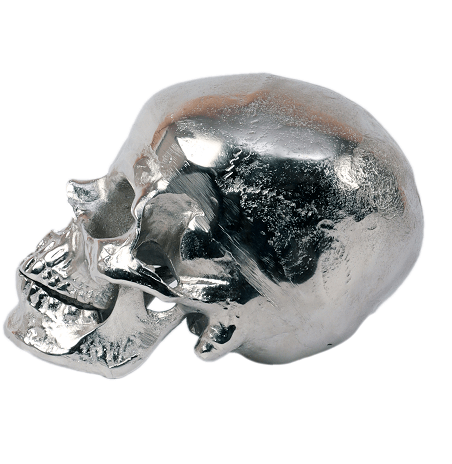 Silver  Skull