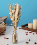 Liliana Dried Floral Bunny Tail (small)