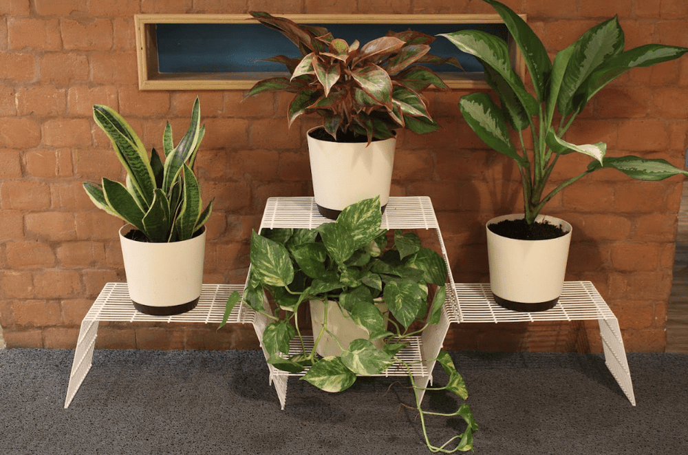 Plant Stand Online Buy Plant Stand for Balcony Online in India at Best