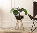 Twin Medium Bloom Black floor planters