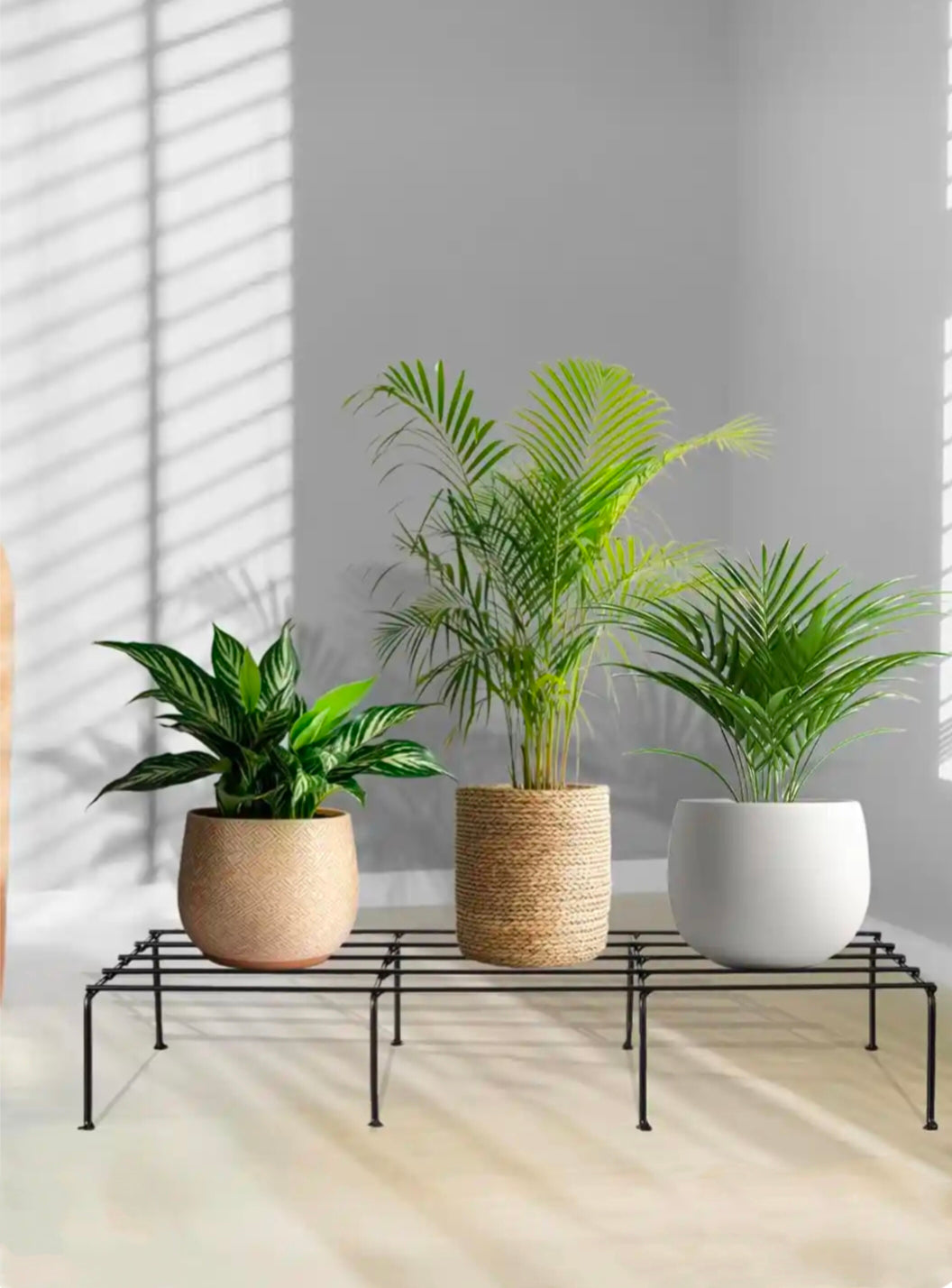 Elated Metal Plant Stand (Set Of 4) Black Rust Proof  Pot - OUCHCART