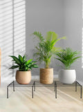 Elated Metal Plant Stand (Set Of 4) Black Rust Proof  Pot