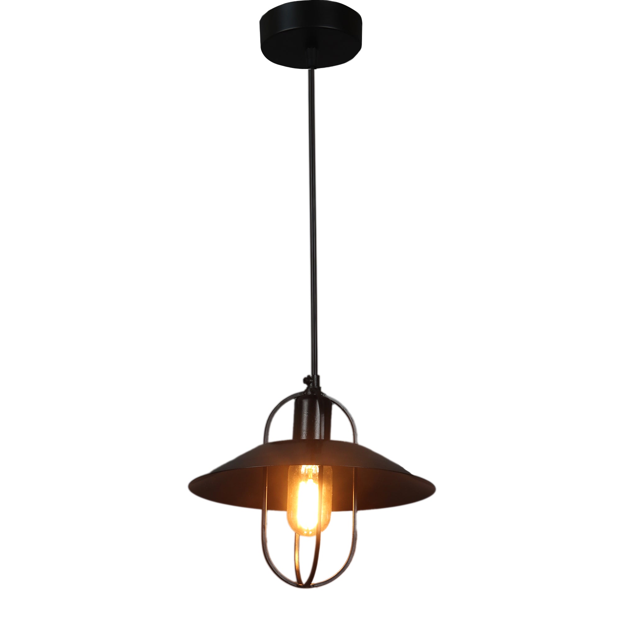 Luxury Style Black Hanging Light by SS Lightings