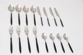 Midnight Opulence Black & Silver Cutlery Set of 16