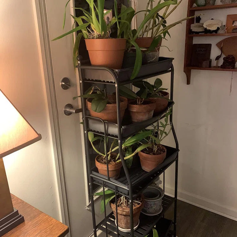 5-Tier Black Iron Plant Stand – Indoor & Outdoor Storage Shelf