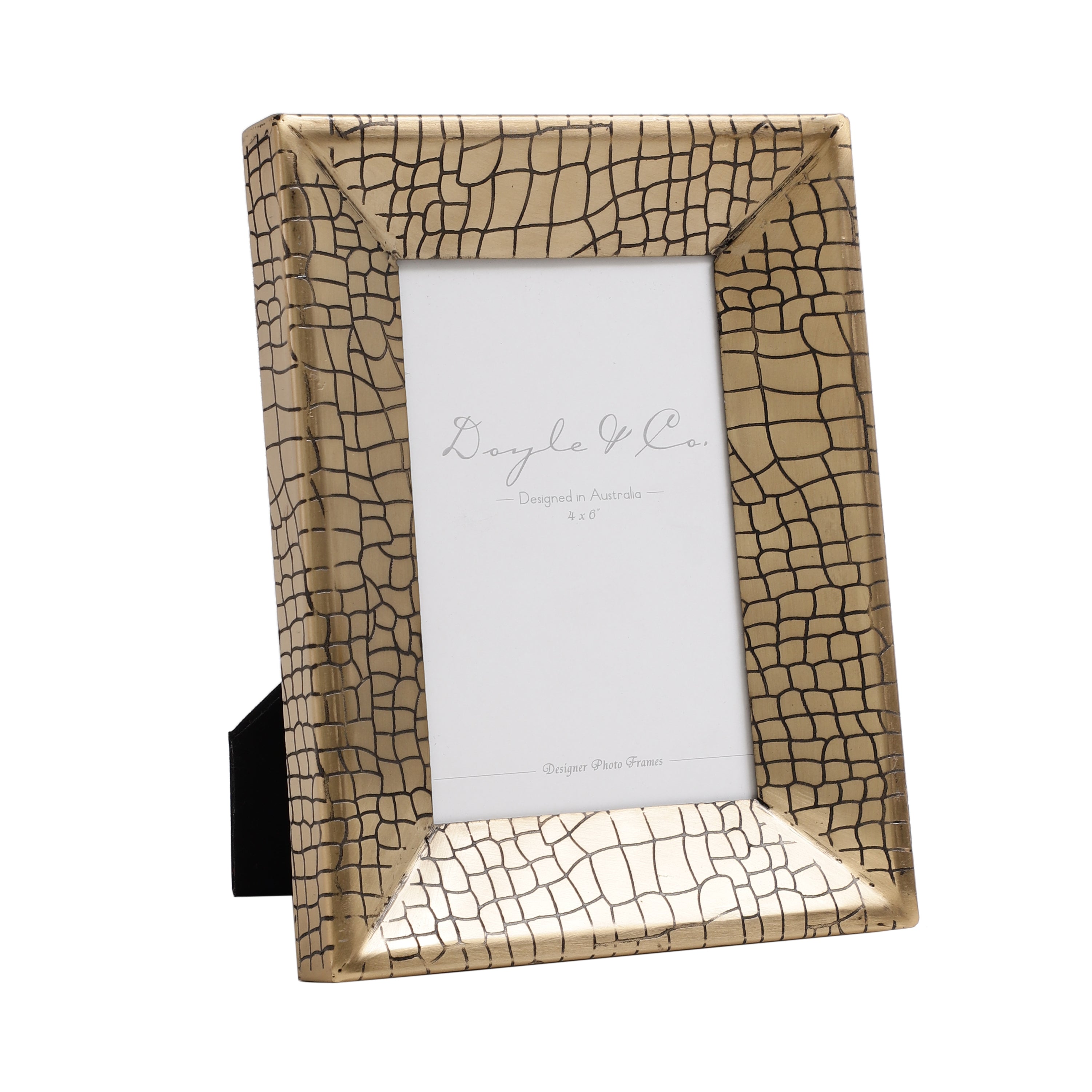 Aria Croc Large Frame