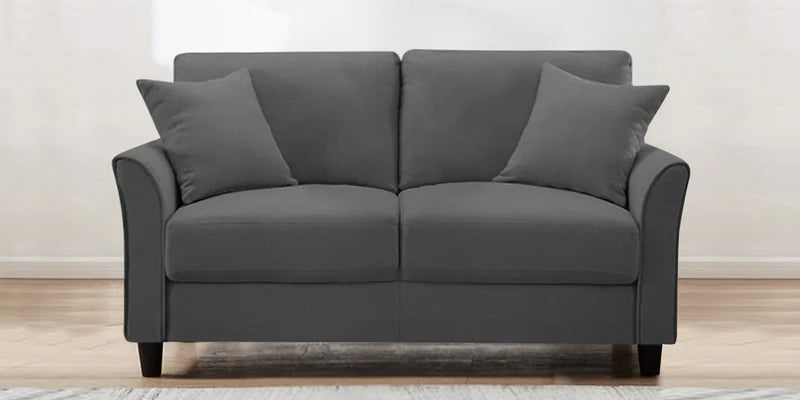 Velvet 2 Seater Sofa in Davy Grey Colour