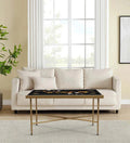 Dragon Glass Top Coffee Table in Black Colour