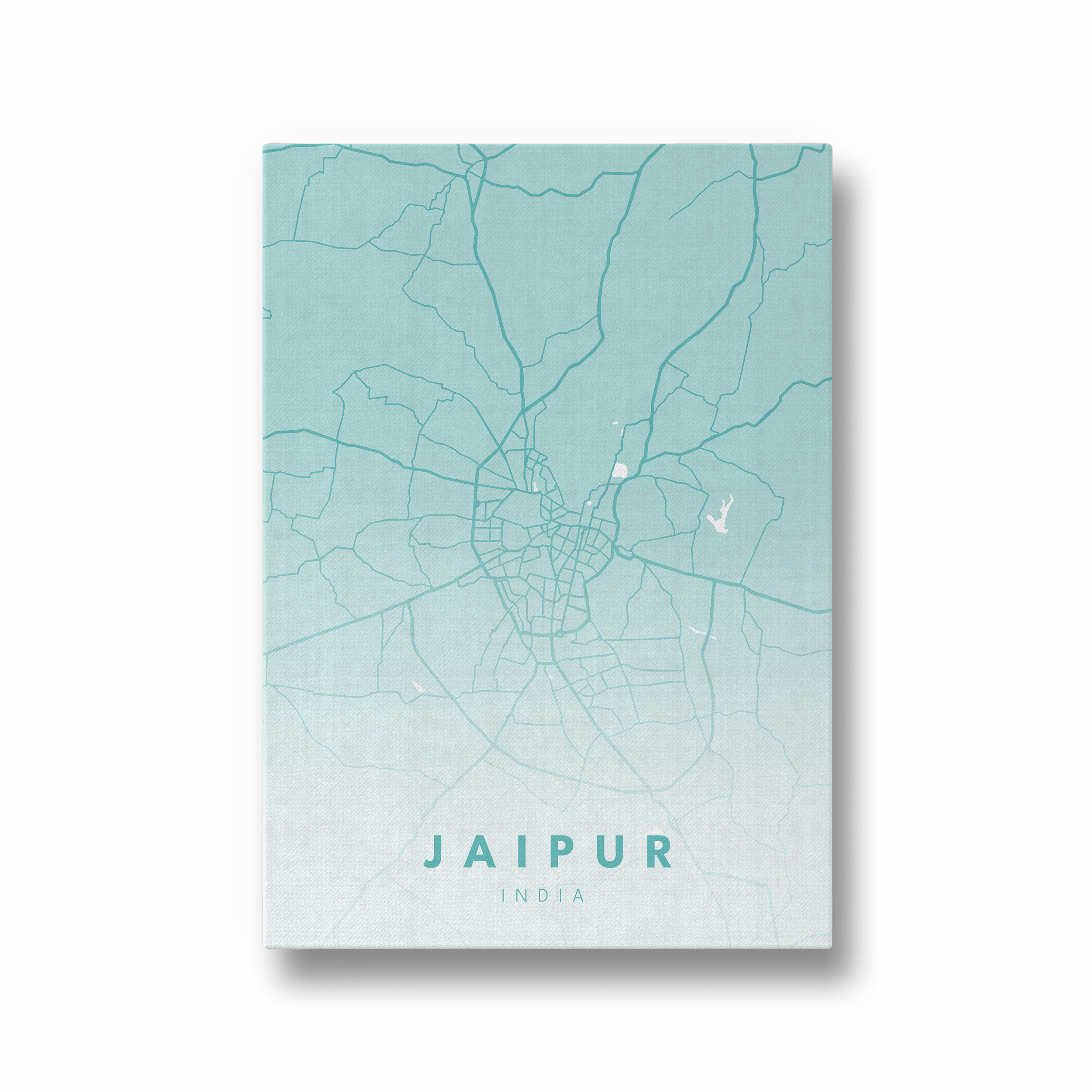 Jaipur City Street Map Art