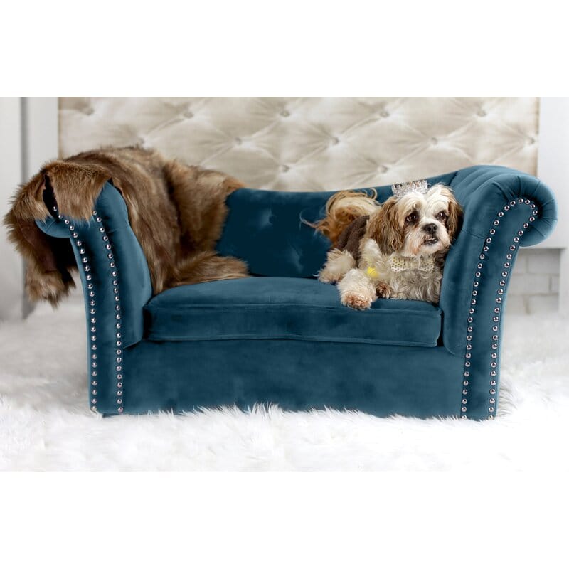 Darwin Dog Sofa
