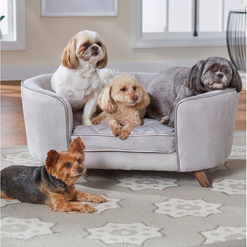 Armchair dog clearance beds