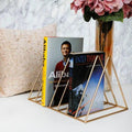Triangle Shaped Decorative Metal Desktop Magazine Holder 1pc