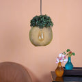 Golden Glass Iron Hanging Lights