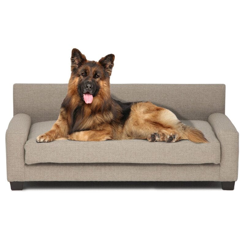 Orthopedic Dog Sofa