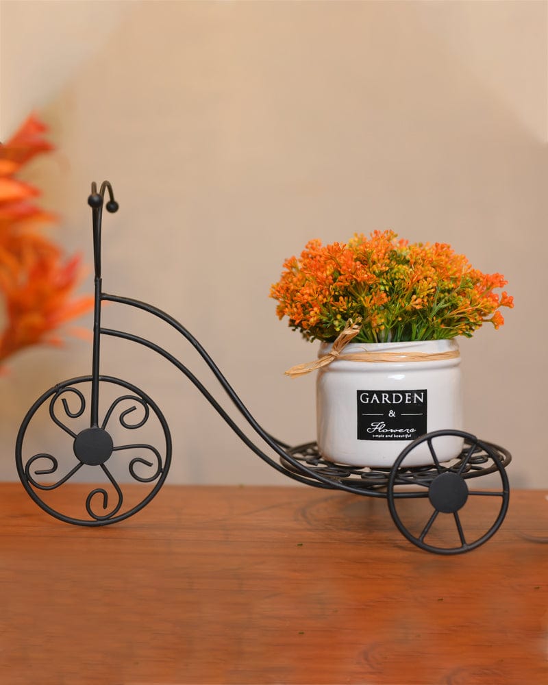Metal Rickshaw & Ceramic Flower Planter ( Combo Offer )